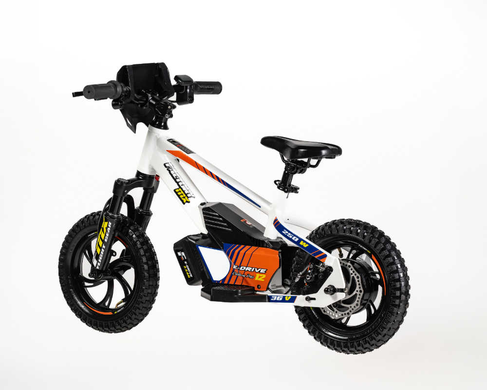 MX E-Drive 12 Custom Pro - Image 20
