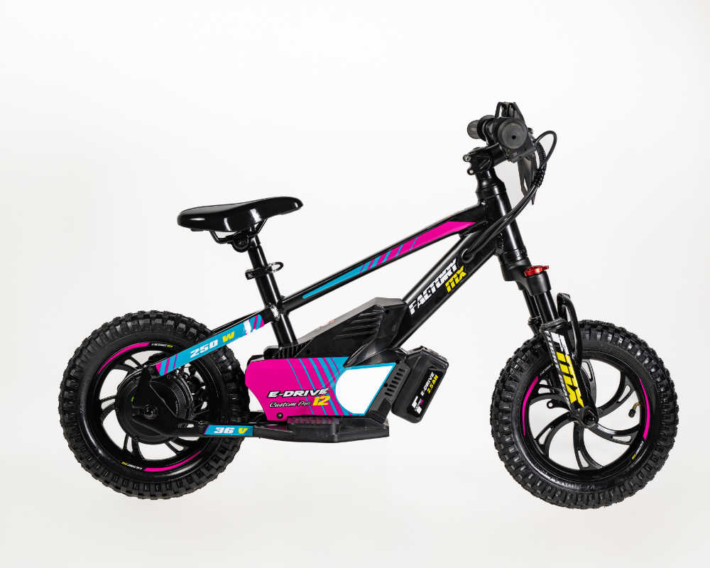 MX E-Drive 12 Custom Pro - Image 13