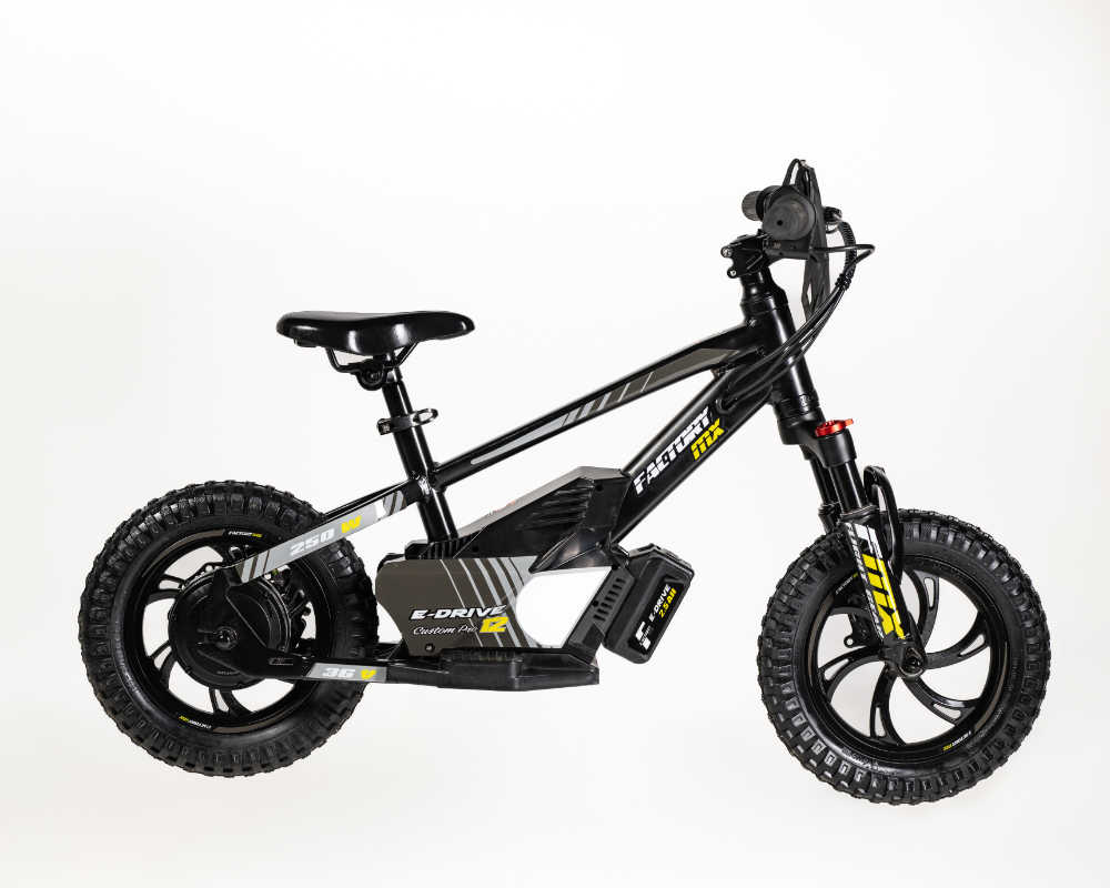 MX E-Drive 12 Custom Pro - Image 9
