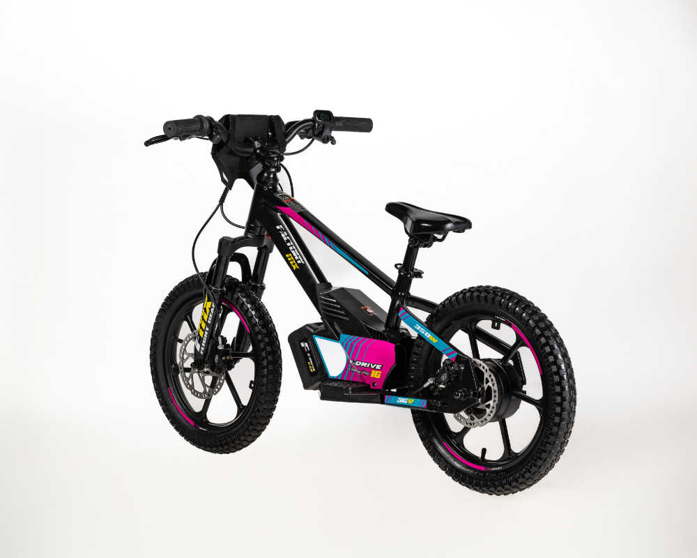 MX E-Drive 16 Custom Pro - Image 7