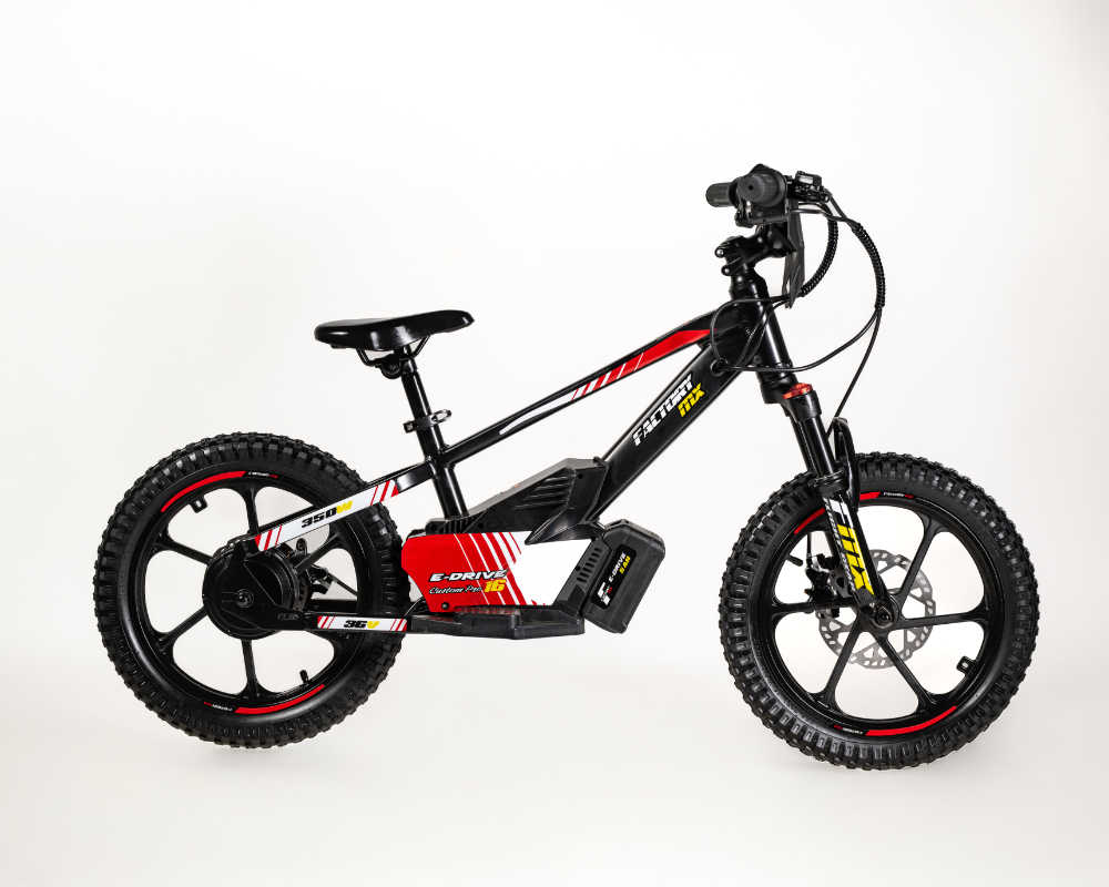 MX E-Drive 16 Custom Pro - Image 21