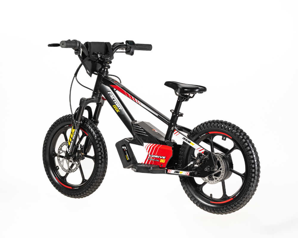 MX E-Drive 16 Custom Pro - Image 22