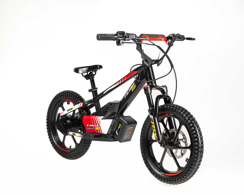 MX E-Drive 16 Custom Pro - Image 23